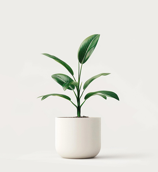 product 04 product 04